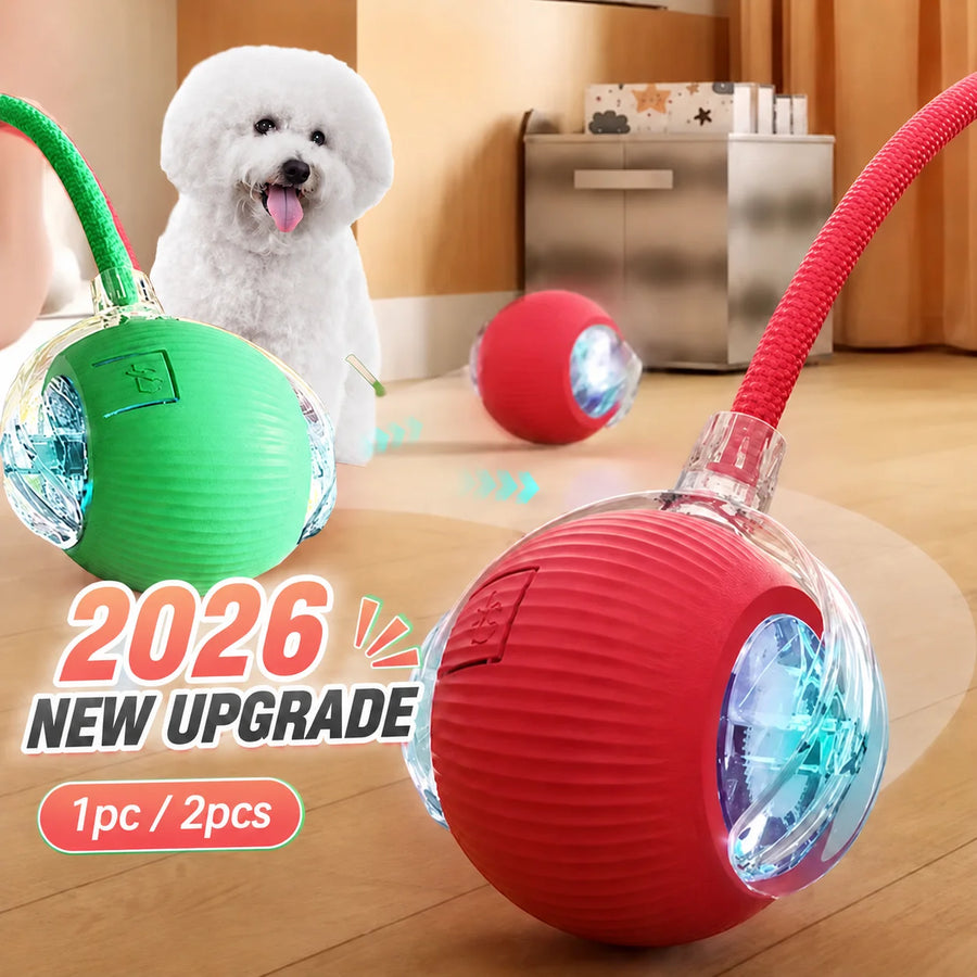 Automatic Rolling Dog Ball Toy
