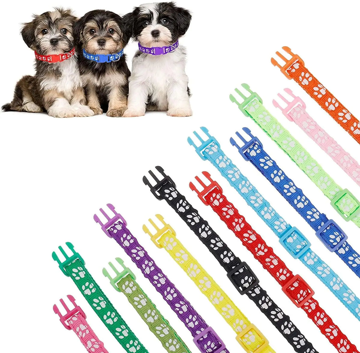 Puppy Litter ID Collar Set size reference