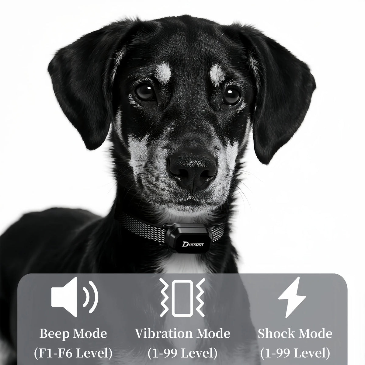 Remote Dog Training Collar worn