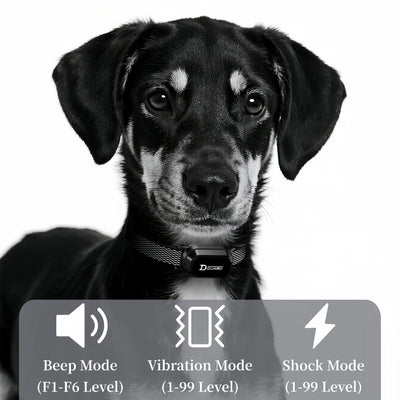 Remote Dog Training Collar worn