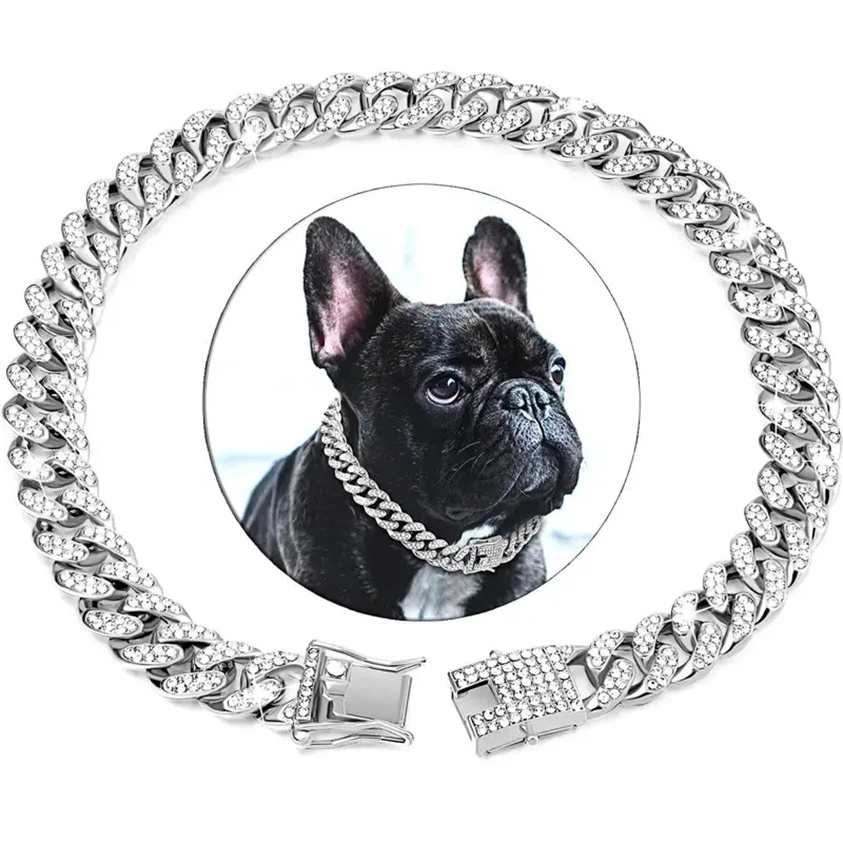 Jewelled Metal Chain Pet Collar styling shot