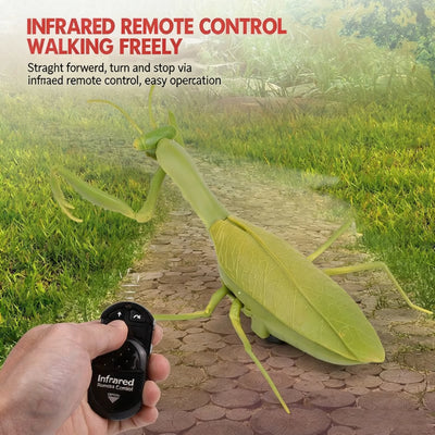 Lifelike Crawling Insect Prank Toy close-up