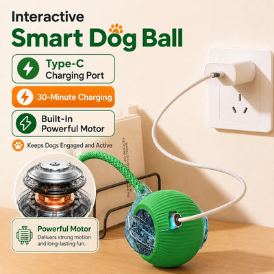 Automatic Rolling Dog Ball Toy - Red