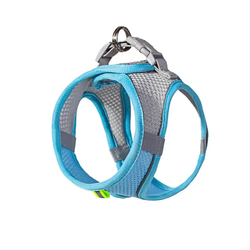 Adjustable Pet Safety Harness outdoor use