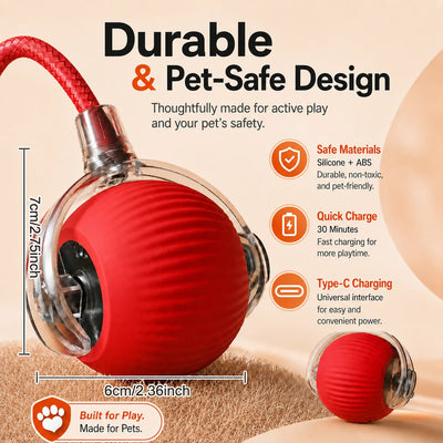 Automatic Rolling Dog Ball Toy in use