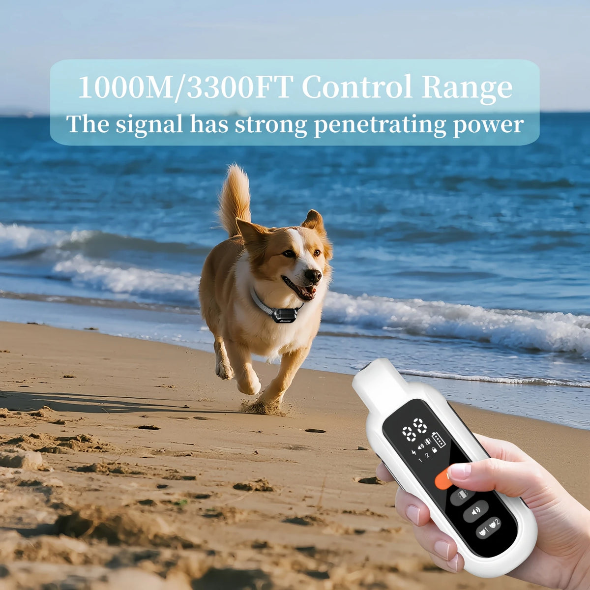 Remote Dog Training Collar remote control detail