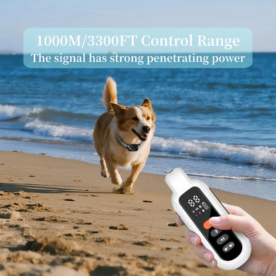 Remote Dog Training Collar remote control detail