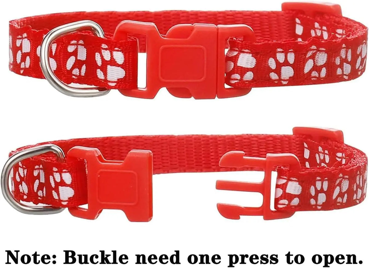 Puppy Litter ID Collar Set worn