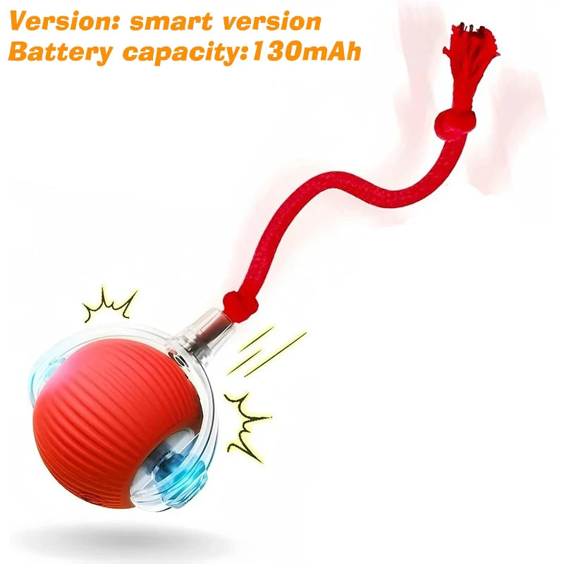 Automatic Rolling Dog Ball Toy charging