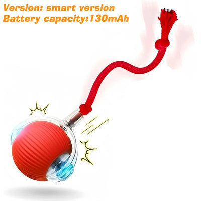 Automatic Rolling Dog Ball Toy charging