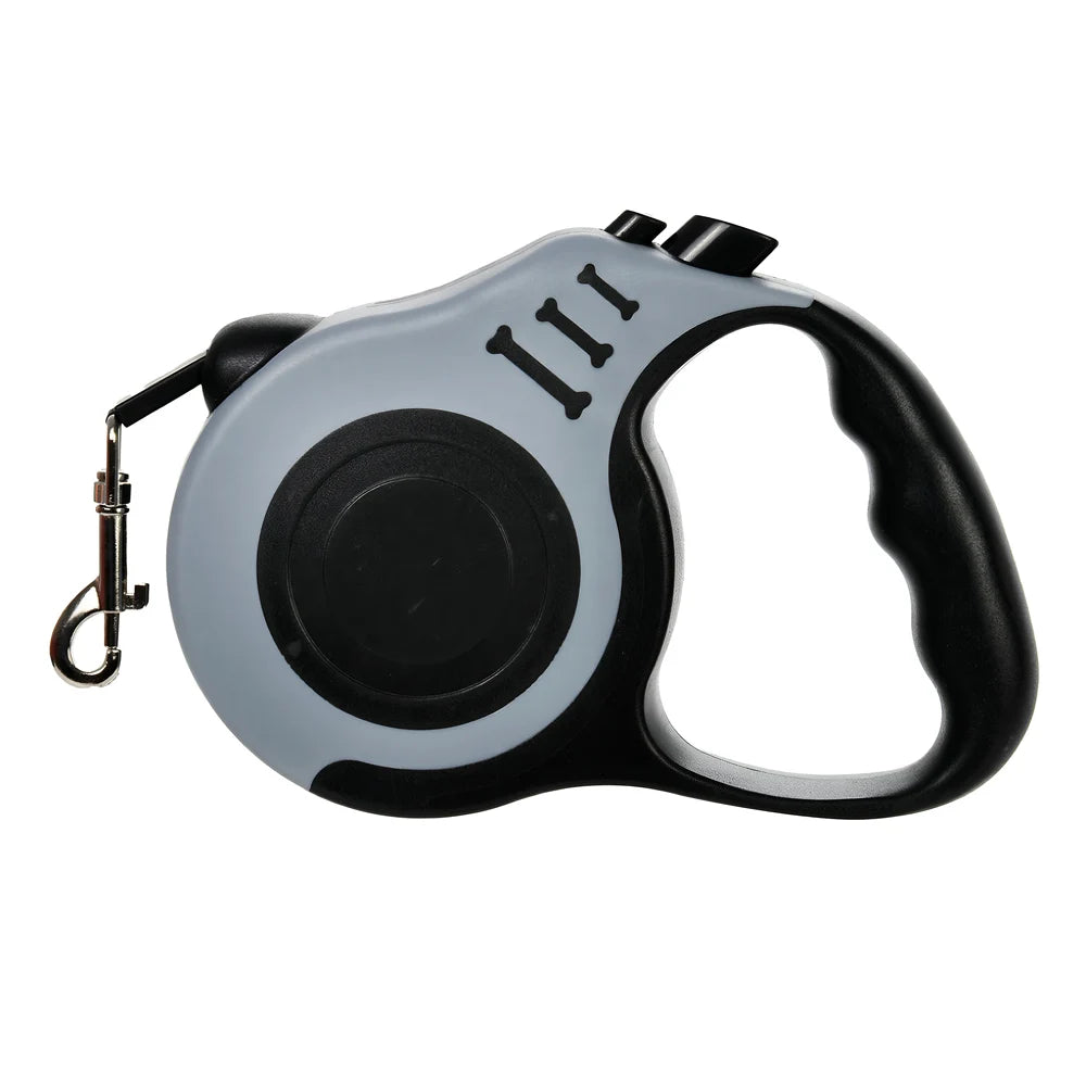 Retractable Pet Leash on small dog
