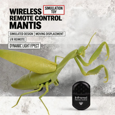 Lifelike Crawling Insect Prank Toy - Fly