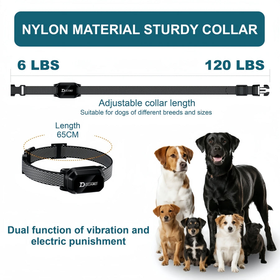 Remote Dog Training Collar close-up