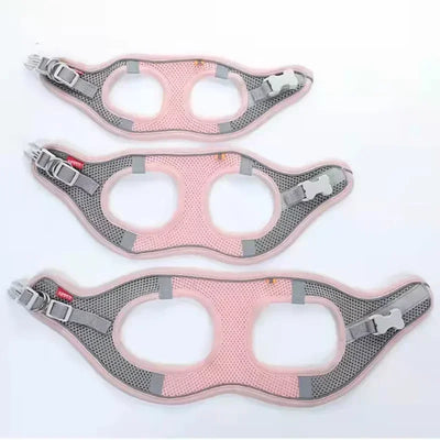 Adjustable Pet Safety Harness buckle detail