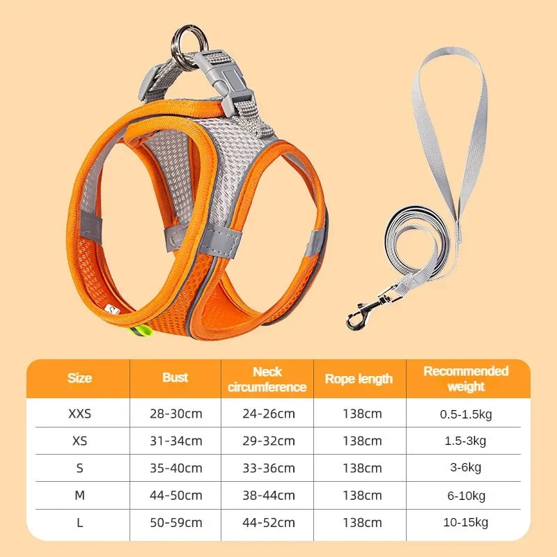 Adjustable Pet Safety Harness styling shot
