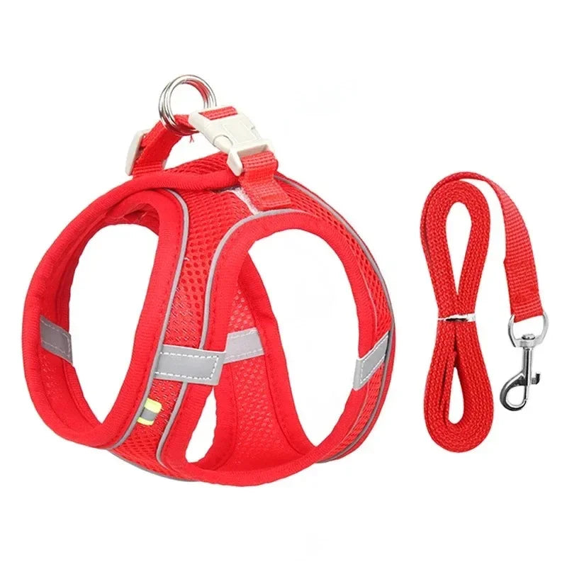 Adjustable Pet Safety Harness packaging