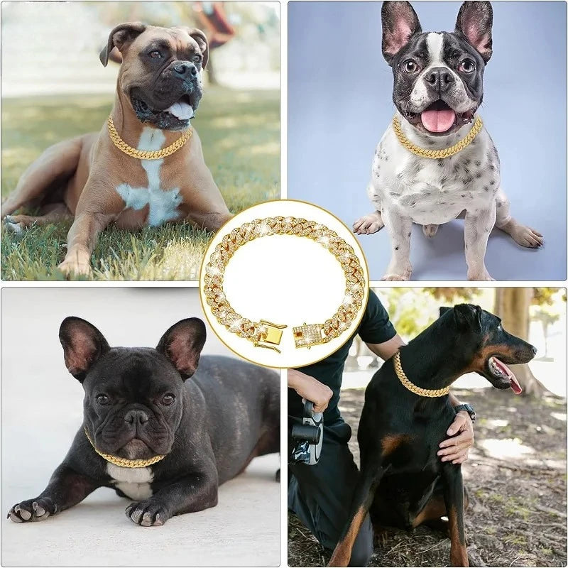 Jewelled Metal Chain Pet Collar close-up