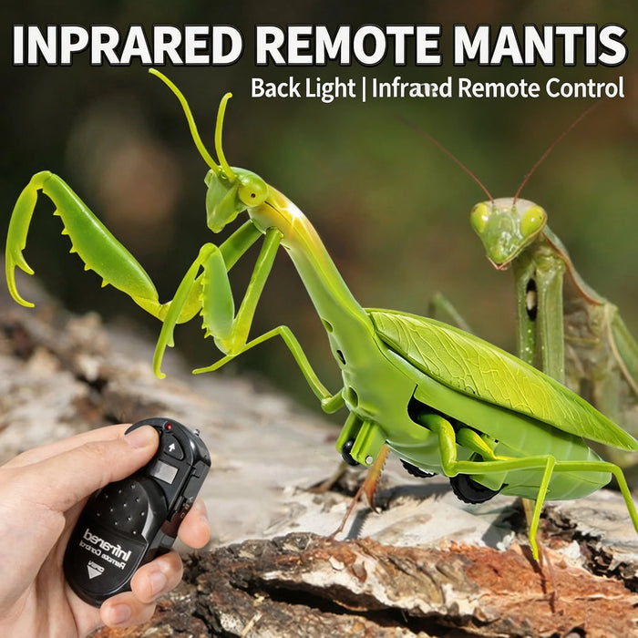 Lifelike Crawling Insect Prank Toy