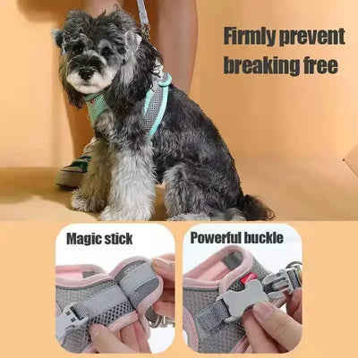 Adjustable Pet Safety Harness worn