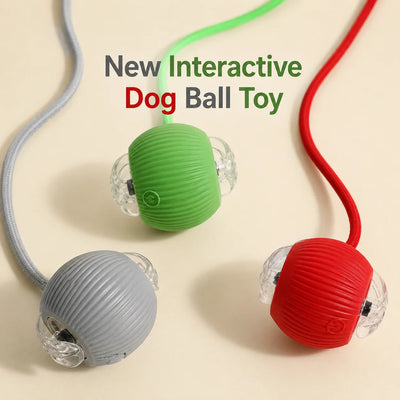 Automatic Rolling Dog Ball Toy - Green