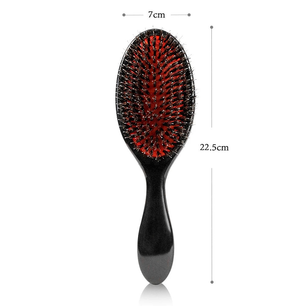 Detangling Brush & Scalp Massager Comb size comparison